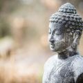5 Tips for BEFORE Your Meditation